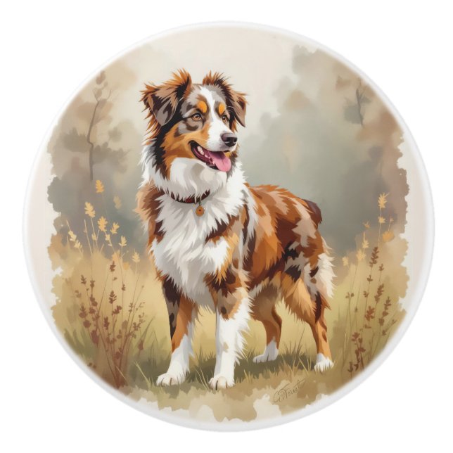 Aussie hund Australian Shepherd Dog röd merle Knopp (Framsidan)
