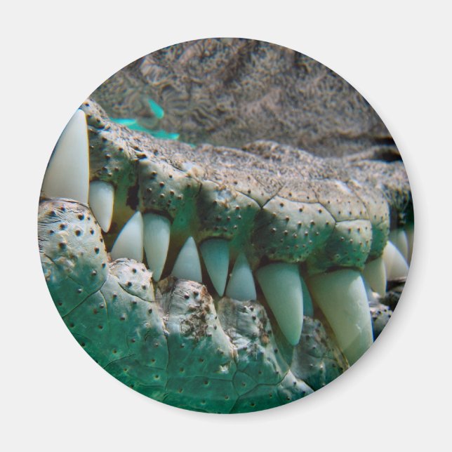 Aussie Icon - Big Croc Terry 2 - Magnet (Framsidan)