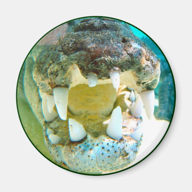 Aussie Icon - Big Croc Terry - Magnet (Framsidan)