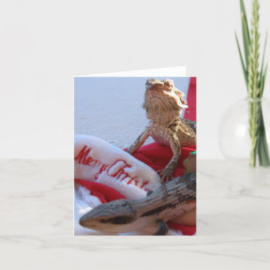 Aussie-julhälsningskort Helgkort