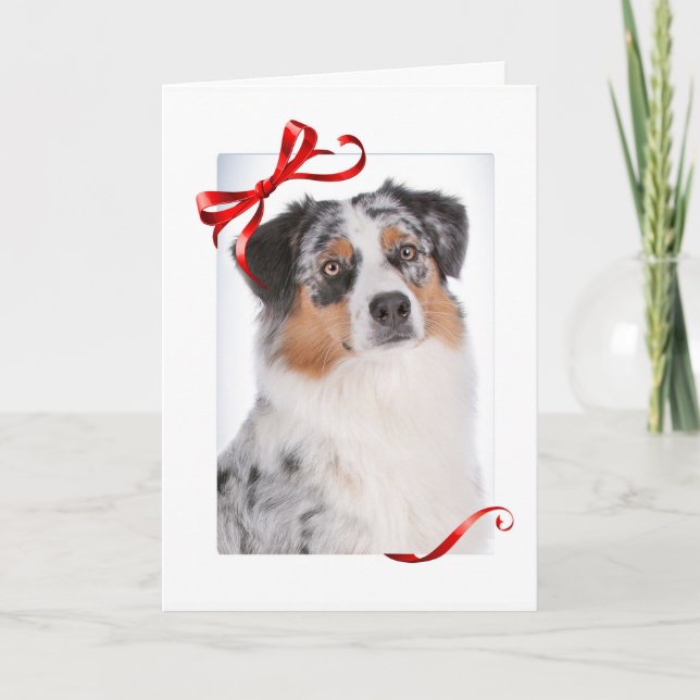 Aussie-julkort Helgkort (Framsida)