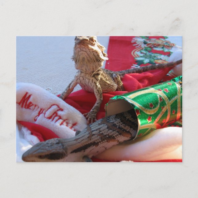 Aussie julvykort helg vykort (Framsida)