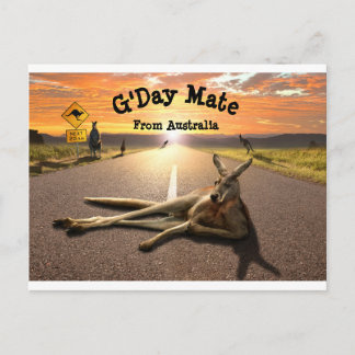 Aussie Kangaroo-vykort Vykort
