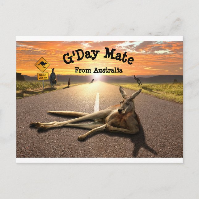 Aussie Kangaroo-vykort Vykort (Framsida)