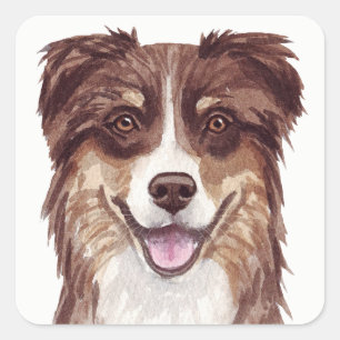 Aussie Puppy Hund Watercolor Australian shepherd Fyrkantigt Klistermärke
