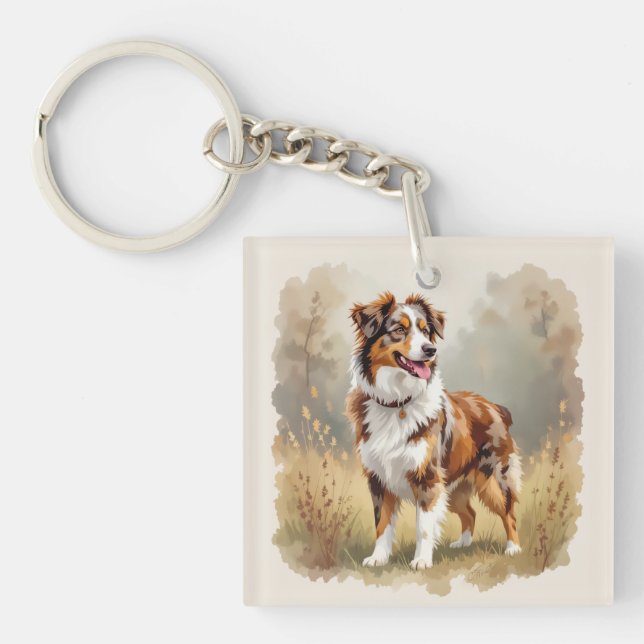 Aussie Red Merle Australisk Herdehund (Framsidan)