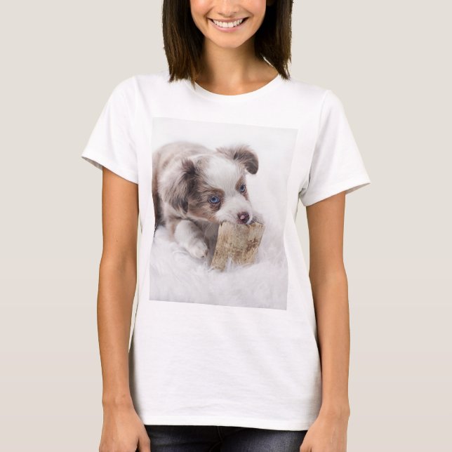 aussie röd merle valp t-shirt (Framsida)