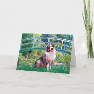 Aussie Shep 1 - Bridge Kort