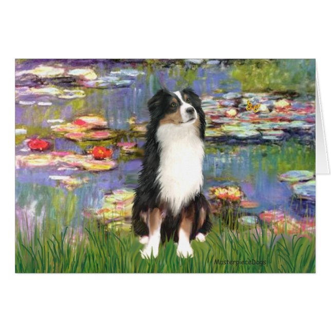 Aussie Shep 2 - Garden Hälsningskort (Framsidan Horizontal)