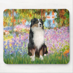 Aussie Shep 2 - Trädgård Musmatta