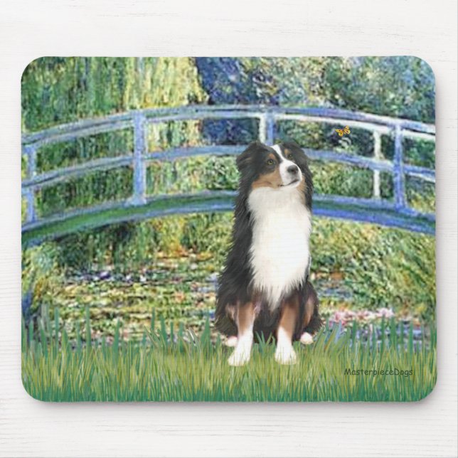 Aussie Shep (Tri2) - Bro Musmatta (Framsidan)