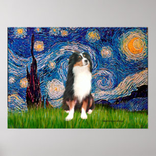 Aussie Shep (Tri2) - Starrikväll Poster