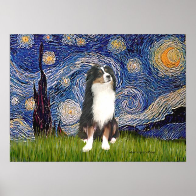Aussie Shep (Tri2) - Stjärnkväll Poster (Framsidan)