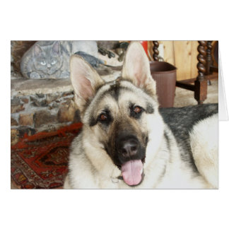 Aussie slut upp hälsningskort