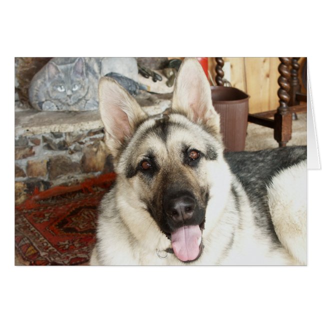 Aussie slut upp hälsningskort (Framsidan Horizontal)