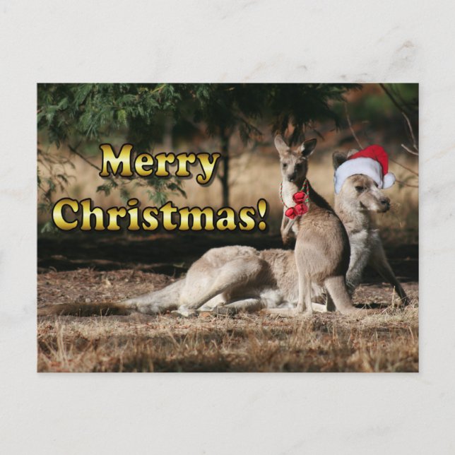 Aussie Stil jul Kangaroos Helg Vykort (Framsida)