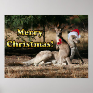 Aussie Stil jul Kangaroos Poster