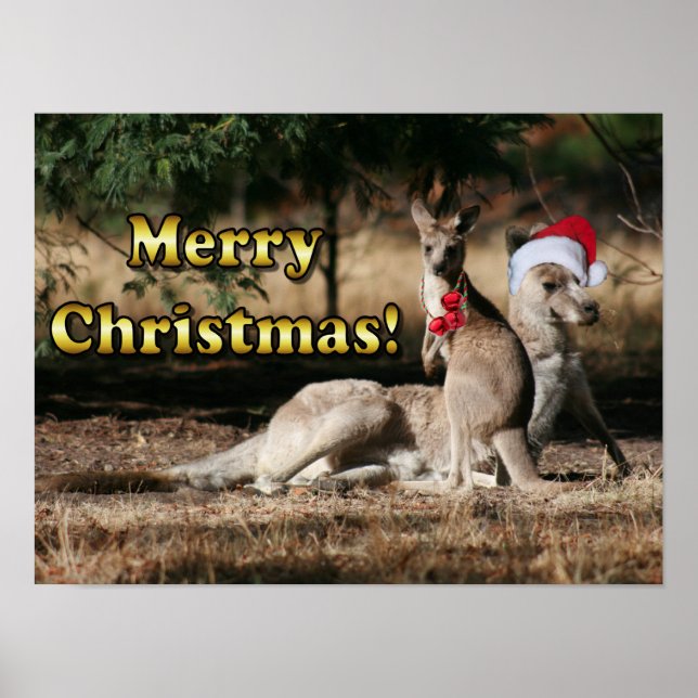 Aussie Stil jul Kangaroos Poster (Framsidan)
