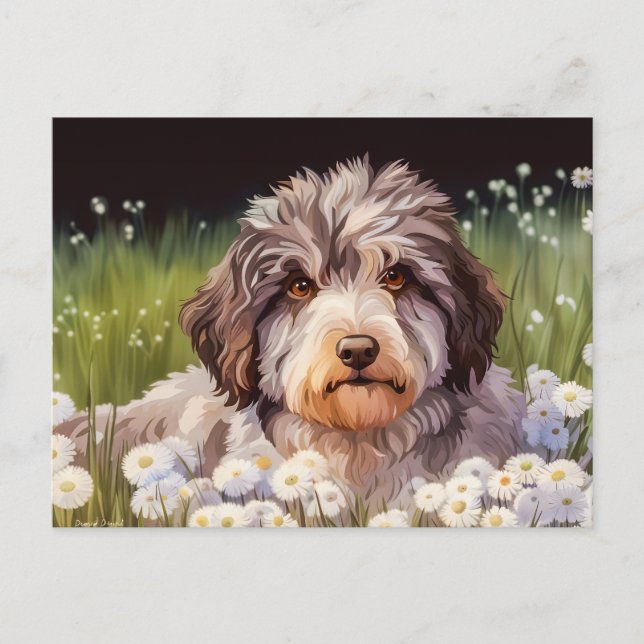 Aussiedoodle mit Gänseblümchen Vykort (Framsida)