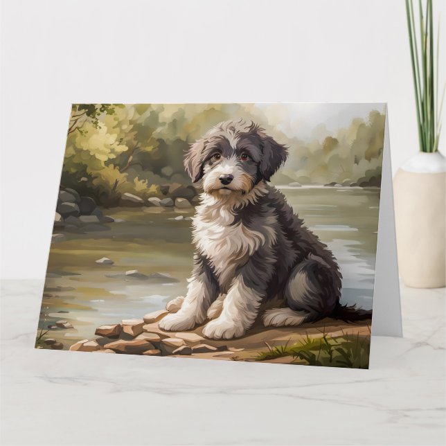 Aussiedoodle Welpe am Fluss Kort (Framsida)