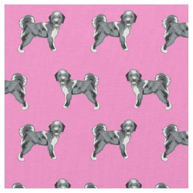 aussiedoodles hund rosa tyg (Närbild)