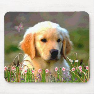 Austin den guld- Labradoren Musmatta