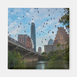 Austin FLADDERMÖSS Downtown Magnet