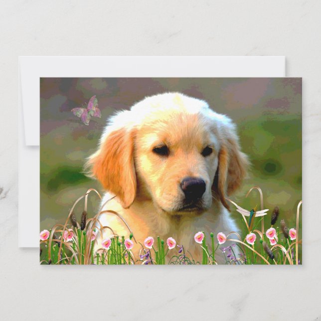 Austin guld- Labrador valp Inbjudningar (Framsida)