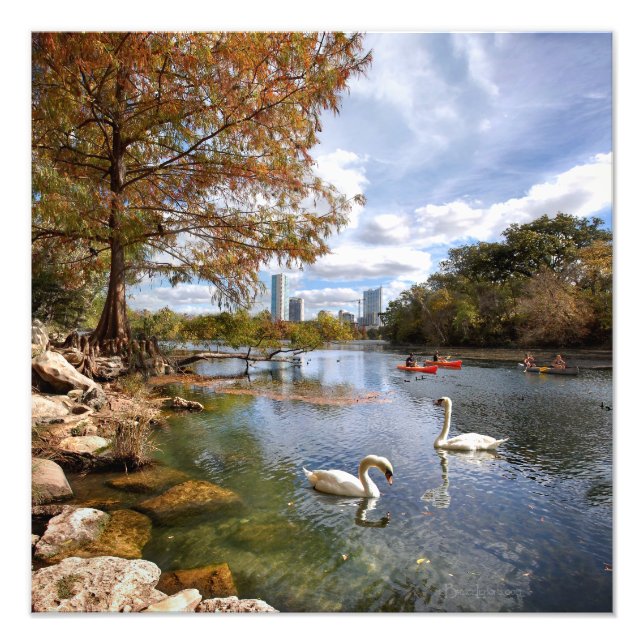 Austin, Texas Barton Bäck / Ladybird Sjö Skyline Fototryck (Framsidan)
