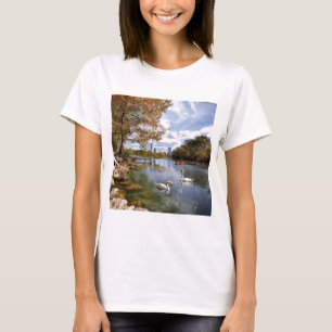 Austin, Texas Barton Bäck / Ladybird Sjö Svanar Tee