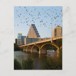 Austin, Texas Congress Bridge Fladdermöss Vykort