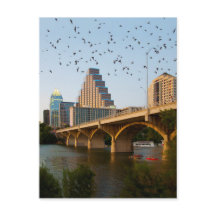 Austin, Texas Congress Bridge Fladdermöss