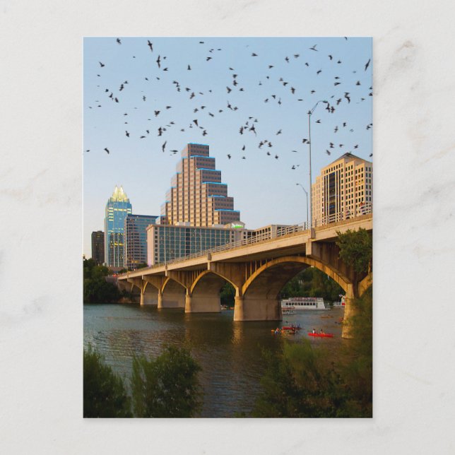 Austin, Texas Congress Bridge Fladdermöss Vykort (Framsida)