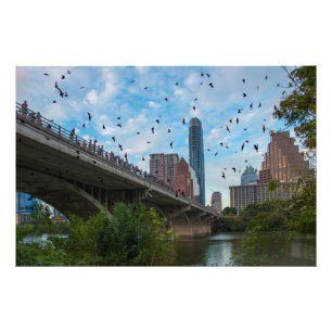 Austin Texas Fladdermus Fototryck