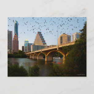 Austin Texas med fladdermöss Vykort
