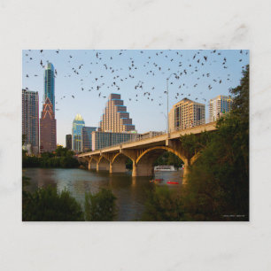 Austin, Texas med Fladdermöss Vykort