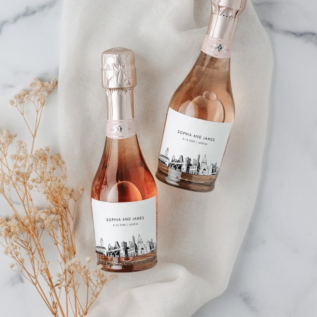 Austin Texas Skyline Mini (Skapare uppladdad)