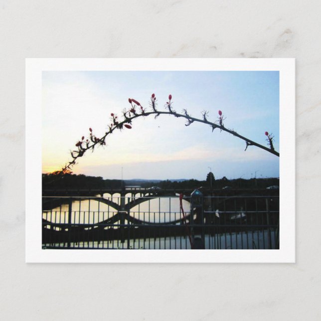 Austin Texas Vykort (Framsida)