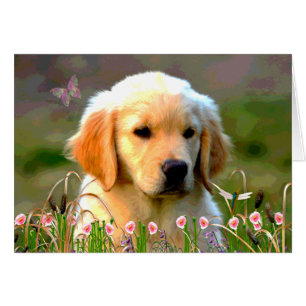 Austin the Golden Labrador Hälsningskort
