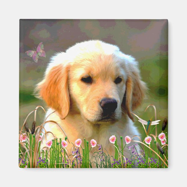 Austin the Golden Labrador Magnet (Framsidan)
