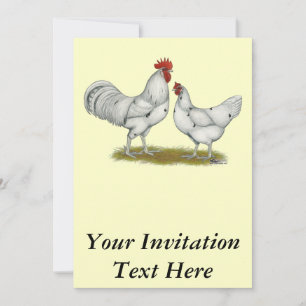 Austra White Chickens Inbjudningar