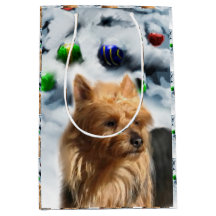 Australaian Terrier-jul