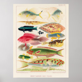 Australia, Great Barrier Reef vintage art poster