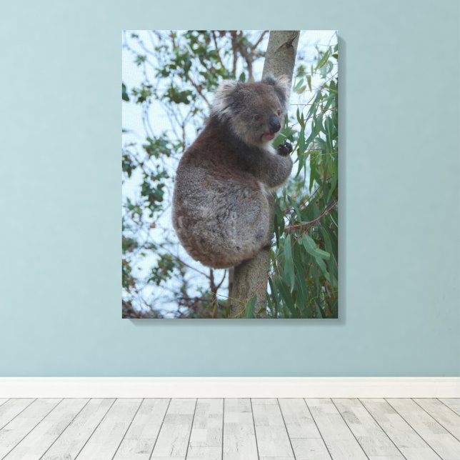 Australia Kangaroo Island Koala in a Tree Canvastryck (Insitu (trägolv))