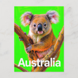Australia Koala Bear Pop Art Vykort
