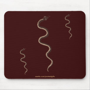 Australian Aboriginal Desert Snake Art Musmatta
