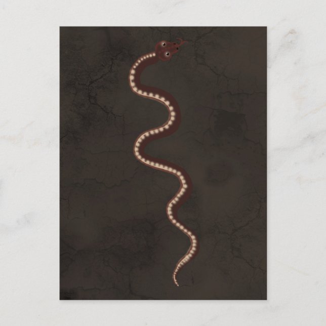 Australian Aboriginal Desert Snake Art Vykort (Framsida)