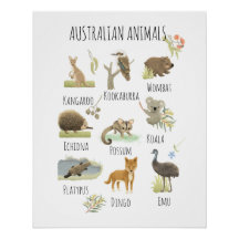 Australian Animals