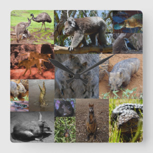 Australian Animals Photo Collage, Wall Clock Fyrkantig Klocka