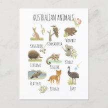 Australian Animals